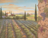 Fruit of the Vine II