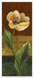 Poppy