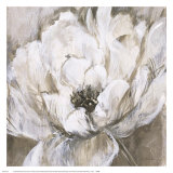 Peonies Blanche I