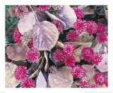 Autumn Tapestry