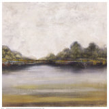 Santee River I