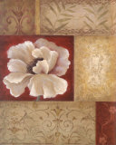 Patchwork Poppy