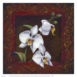 Orchid Study I
