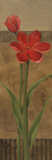Geometric Poppy II