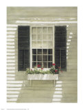 Nantucket Window Box