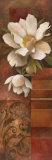 Eloquence II