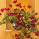 Ivy Geraniums