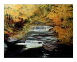 Rushing Waters of Fall
