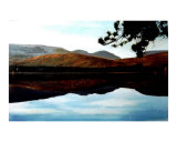 Cooper Lake Towards Evening