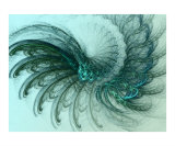 Fractal Flame 18