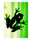 Green jumpin Ribbit