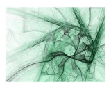 Fractal Flame 19