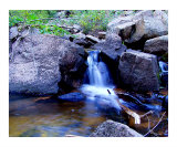 The 'Wilds' of Colorado