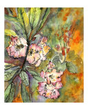 Rhododendron Blossoms