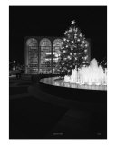 LINCOLN CENTER