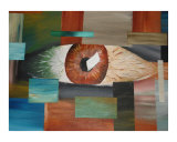 the eye