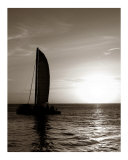 Sepia Sailboat in Key West