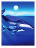 Whales Swimming