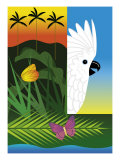 Cockatoo