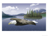 A Bald Eagle Flying Over a Lake