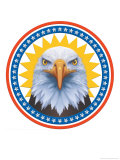 Bald Eagle Head
