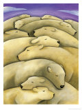 Texture  Sleeping Polar Bears