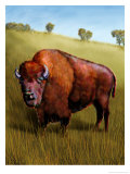 Buffalo