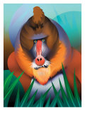 Baboon