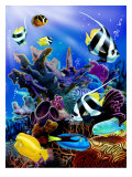 Coral Reef