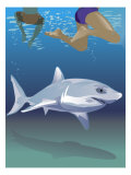 Shark Swimming Beneath Swimmers