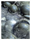 Circular Orbs Surrounded by Various Matter