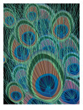 Peacock Feathers