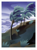 Palm Trees Bending in the Wind of a Hurricane