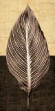 Palm Leaf I