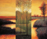 Vistas II