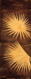 Fan Palm Triptych I
