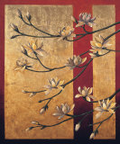 Magnolia Screen