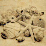 The Collection II