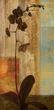 Numinous I