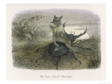 The Fairy Queen's Messenger Riding a Stag Beetle
