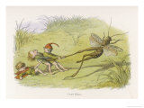 Mischievous Legs Pull a Grasshopper's Leg