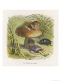 The Elf King Asleep Beneath a Toadstool