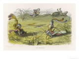 An Elves' Tournament