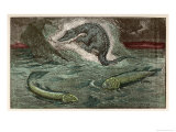 Protosaurus and Two of the Marine Creatures from Which It Developed  Holoptychius and Osteolepis