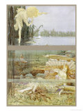An Elf Peeps at a Lake-Spirit as She Relaxes Under the Surface