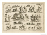 Noah's Ark and Some of Its Passengers