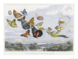 The Fairy Queen Takes an Airy Drive in a Light Carriage