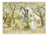 Beekeper Drives the Bees from Their Old Hive