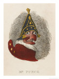 Portrait of Mr Punch