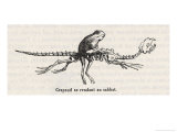Toad  a Witches" "Familiar"  Rides to the Sabbat Mounted on an Animal Skeleton